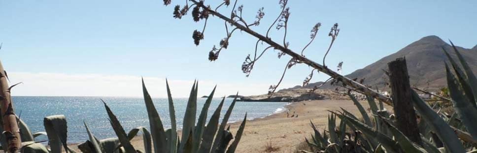 Hostal Casa Emilio Almería Kültér fotó
